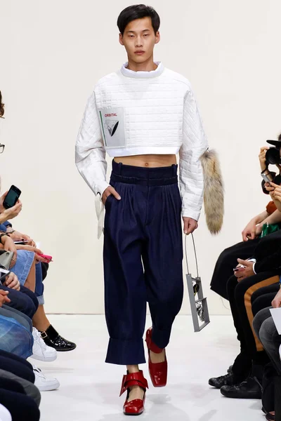 Look 29